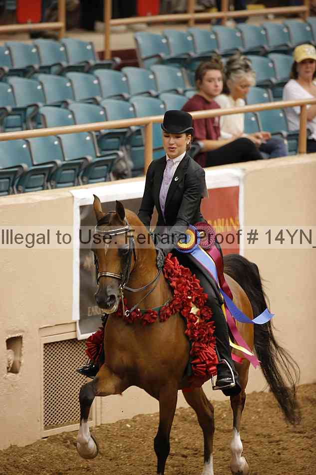 Proof 14yn_18171