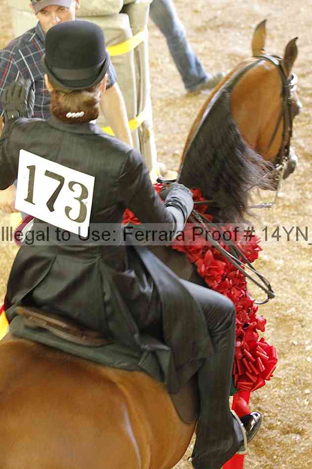 Proof 14yn_18178
