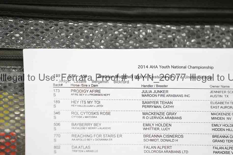 Proof 14yn_26677