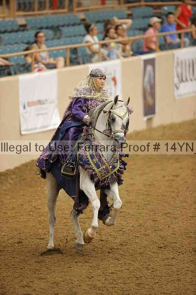 Proof 14yn_26691