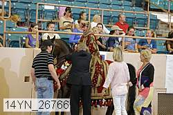 14yn_26766 proof