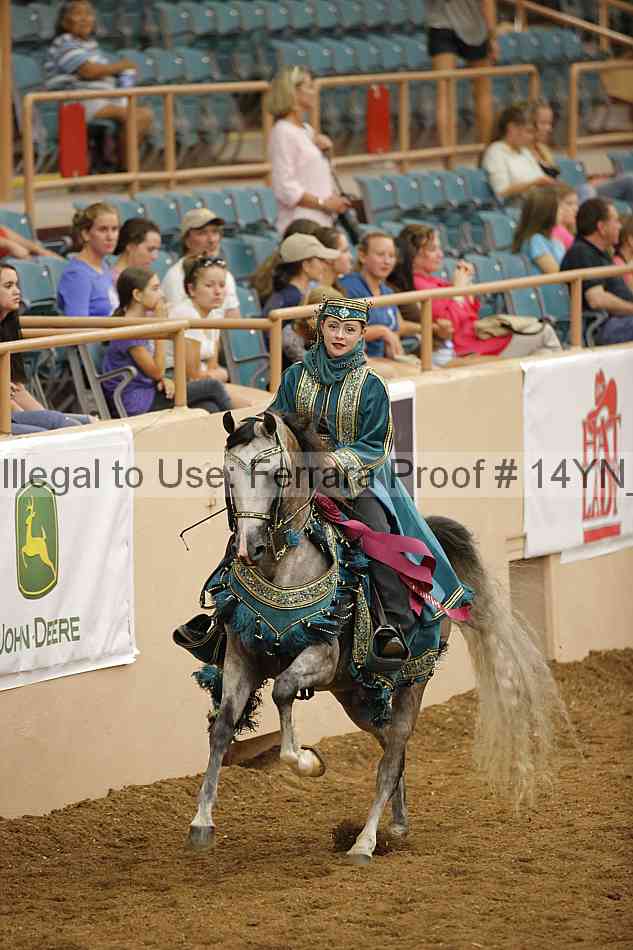 Proof 14yn_26806