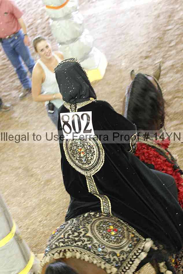 Proof 14yn_26847