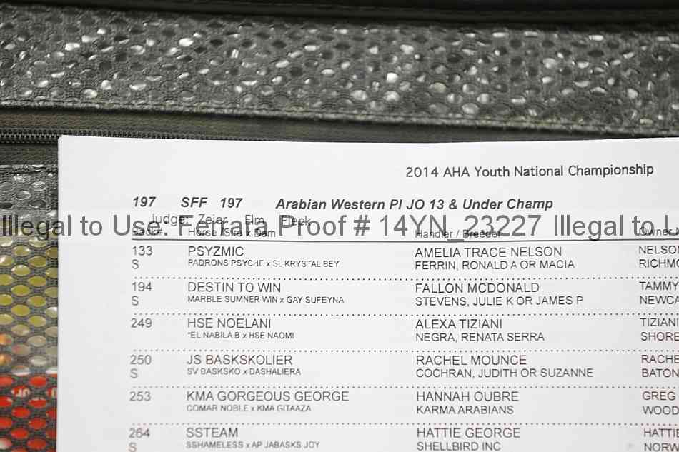 Proof 14yn_23227