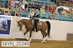 14yn_23246 proof