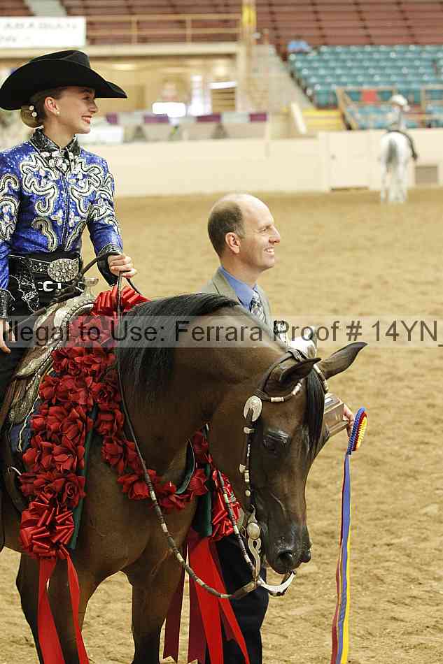 Proof 14yn_23358