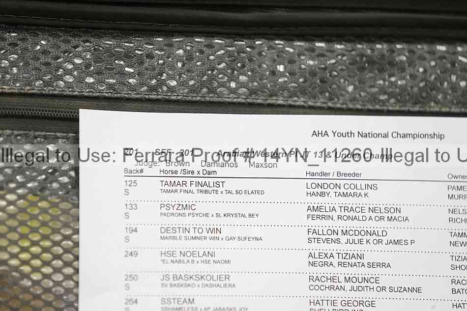 Proof 14yn_11260