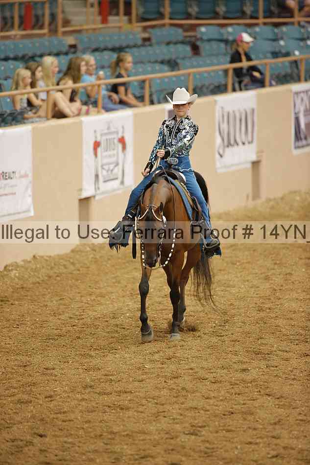 Proof 14yn_11288