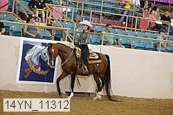 14yn_11312 proof