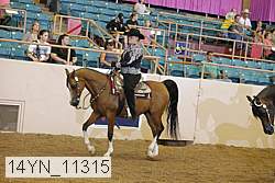 14yn_11315 proof