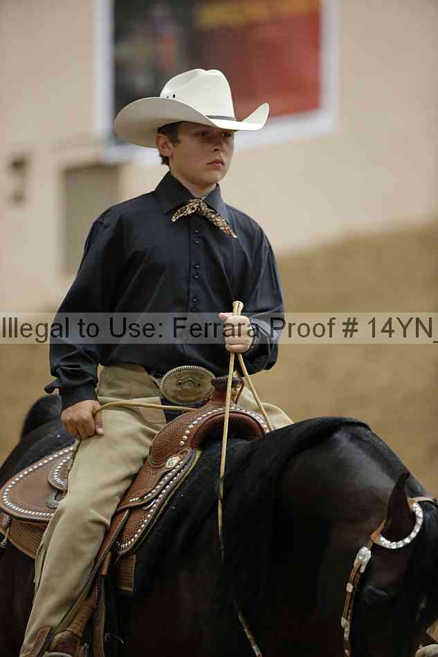 Proof 14yn_11335
