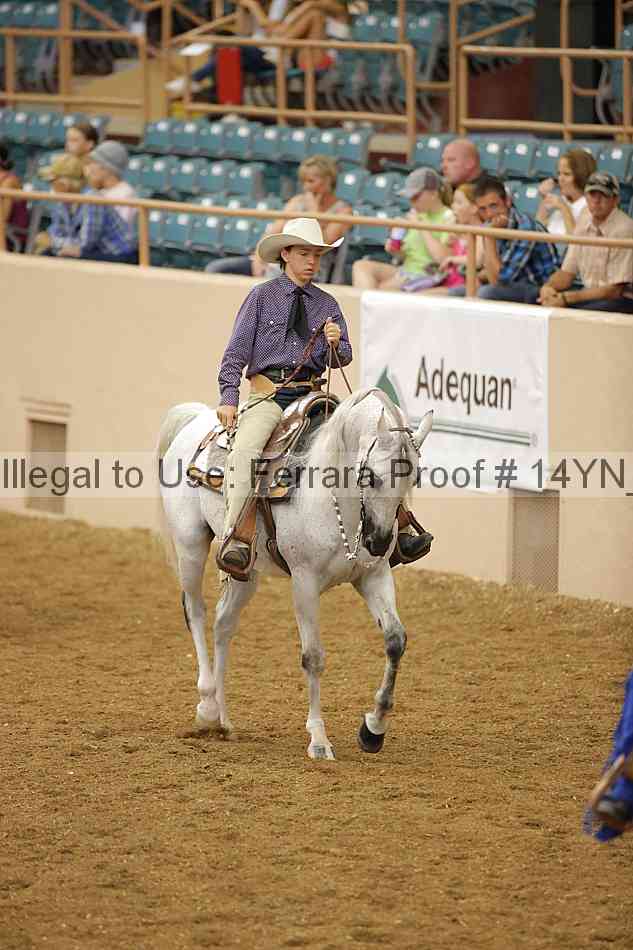 Proof 14yn_11366