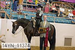 14yn_11374 proof