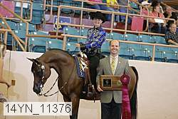 14yn_11376 proof