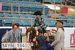 14yn_11402 proof