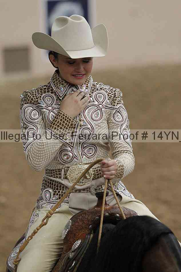 Proof 14yn_11409