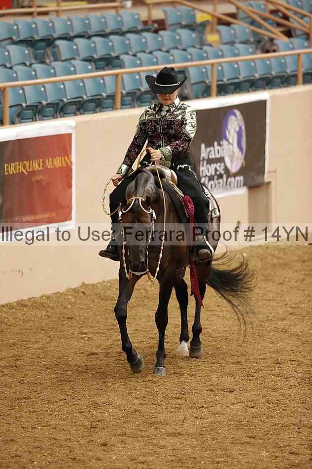 Proof 14yn_11446