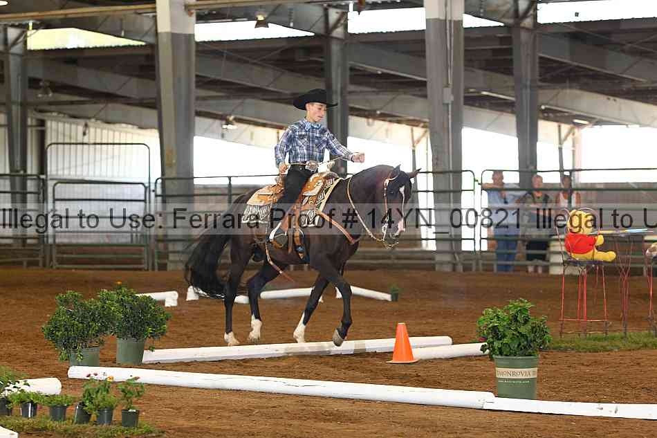 Proof 14yn_00821