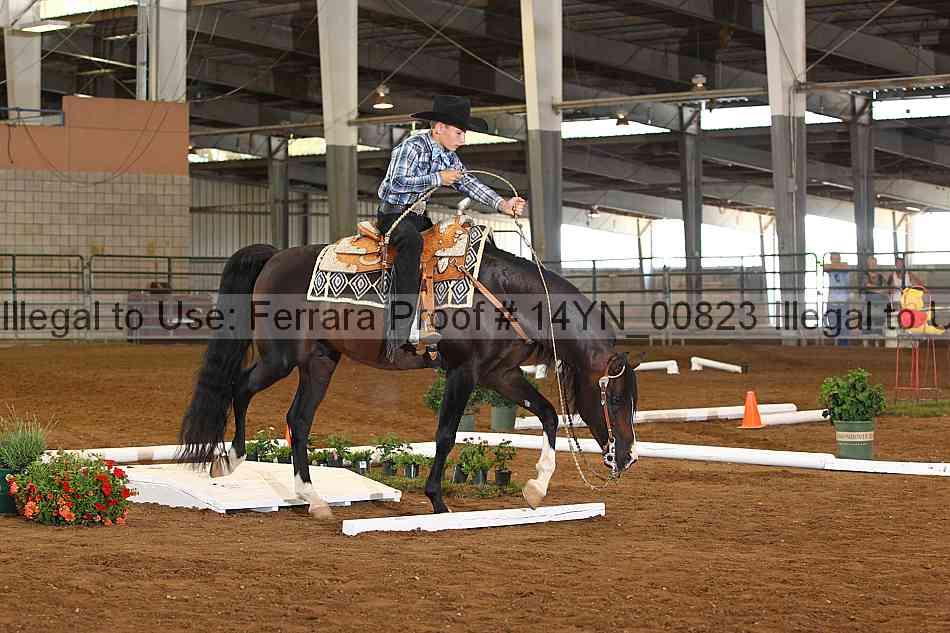 Proof 14yn_00823