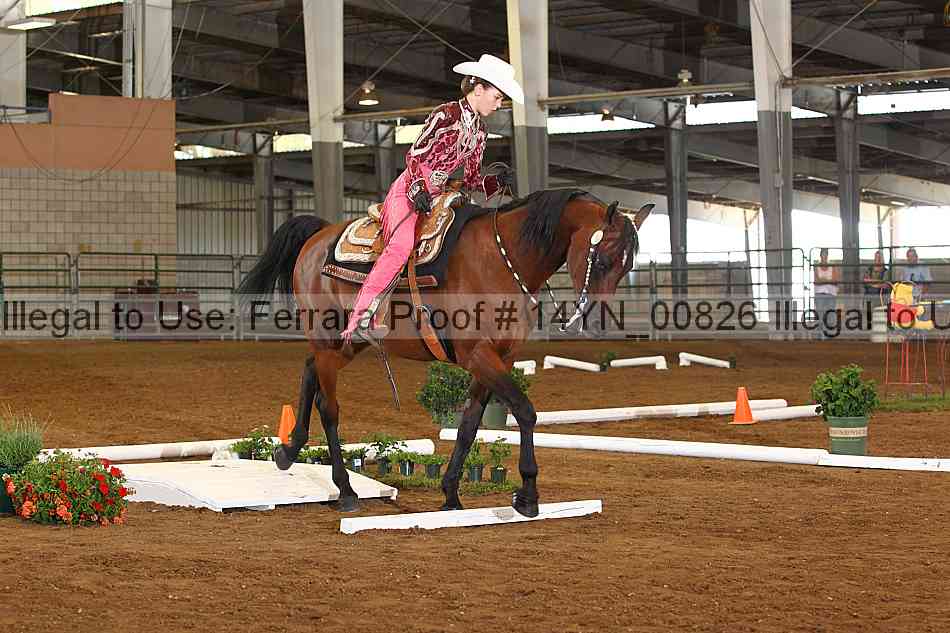 Proof 14yn_00826