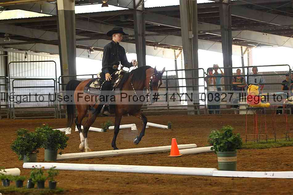 Proof 14yn_00827