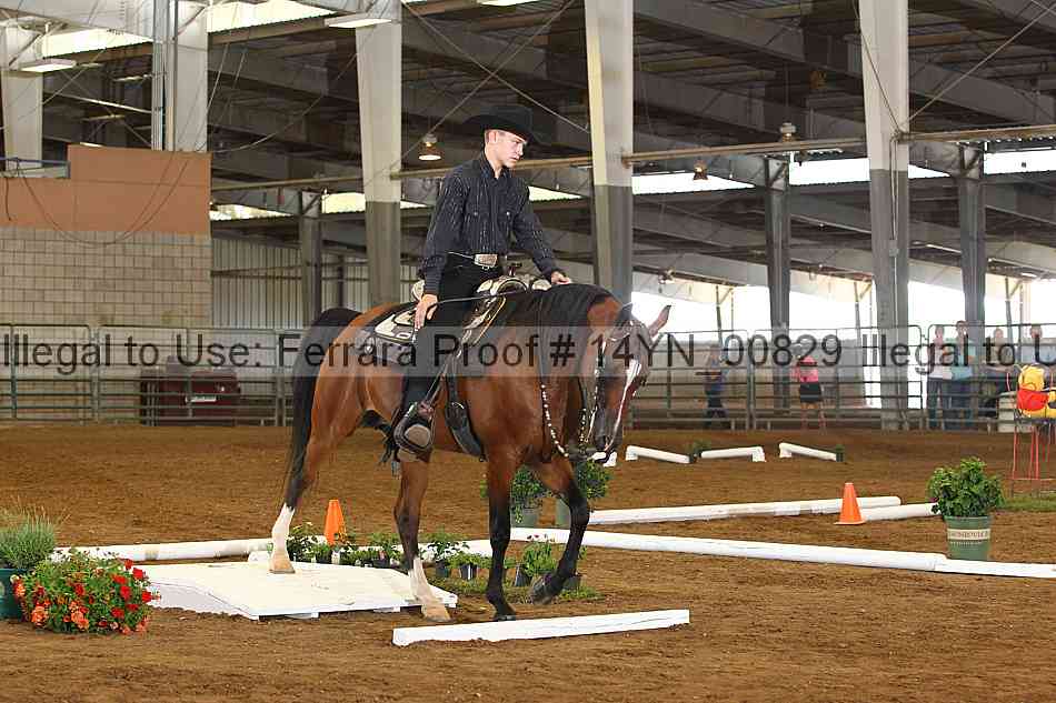 Proof 14yn_00829