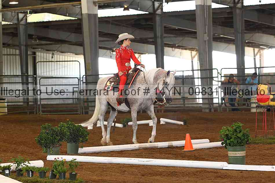 Proof 14yn_00831