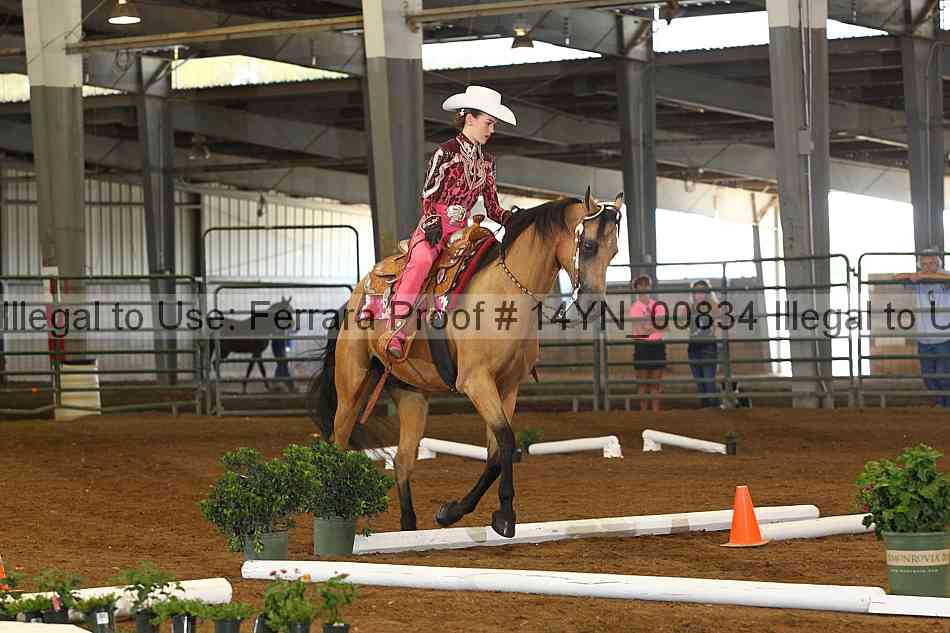 Proof 14yn_00834