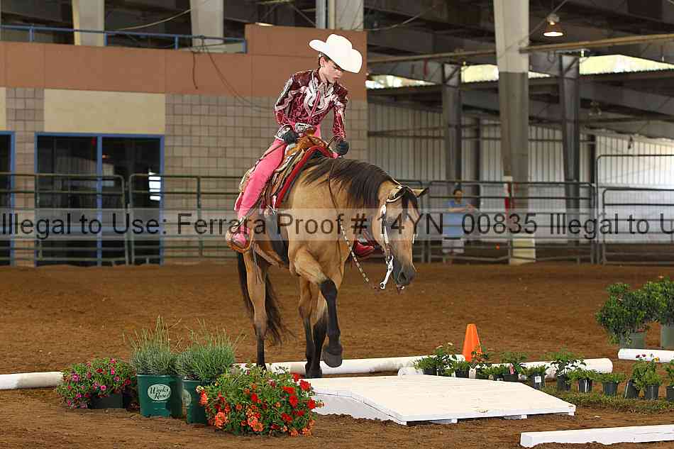 Proof 14yn_00835