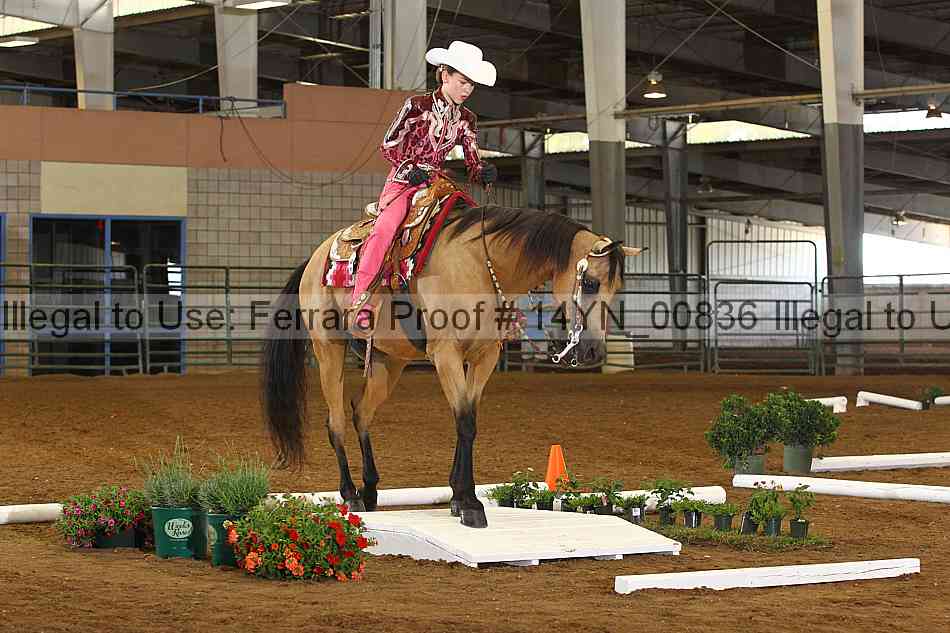 Proof 14yn_00836