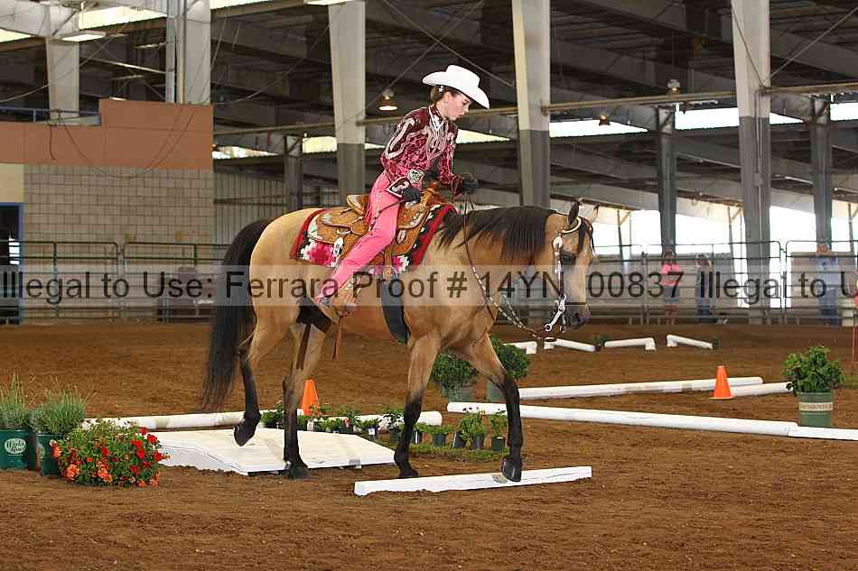 Proof 14yn_00837