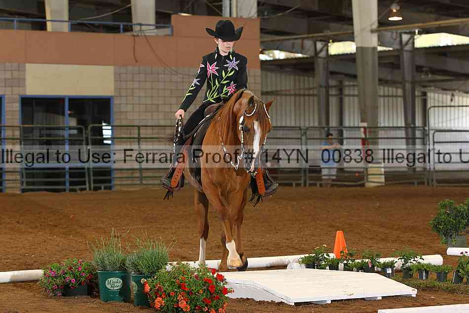 Proof 14yn_00838