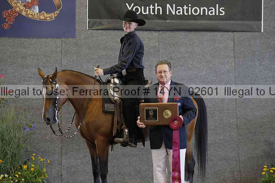 Proof 14yn_02601