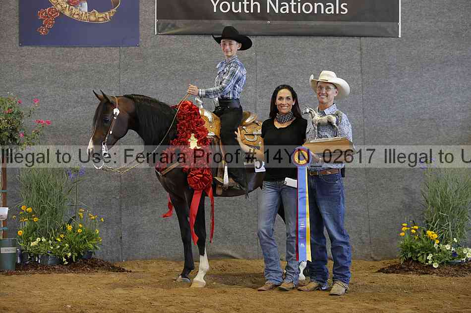 Proof 14yn_02617