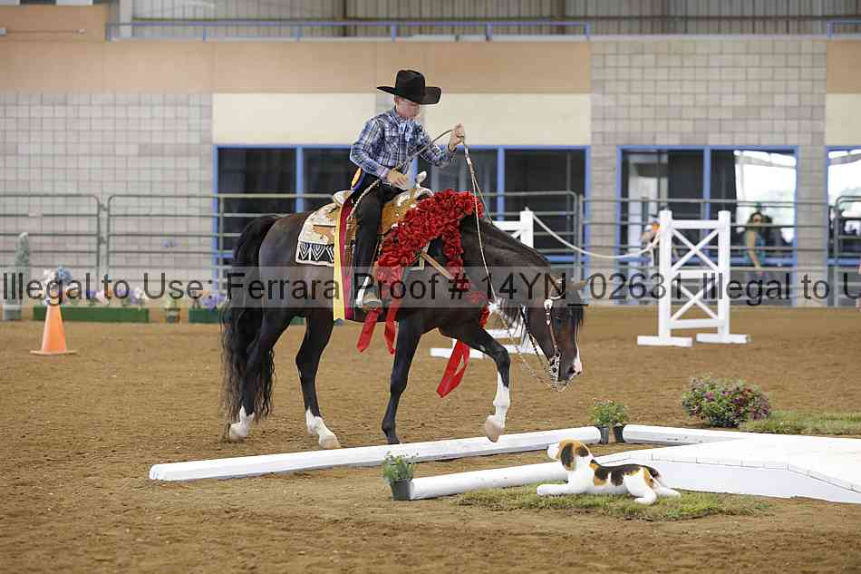 Proof 14yn_02631