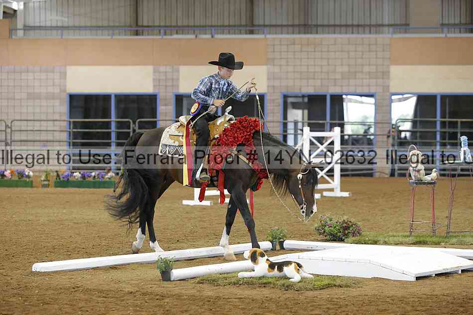 Proof 14yn_02632