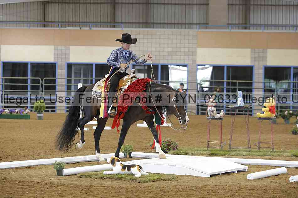 Proof 14yn_02633