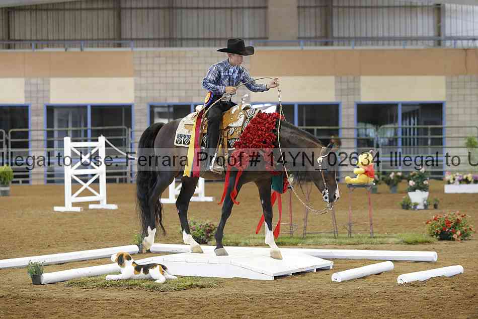 Proof 14yn_02634