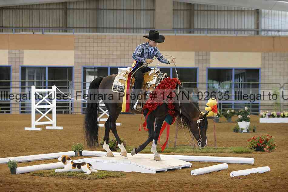 Proof 14yn_02635