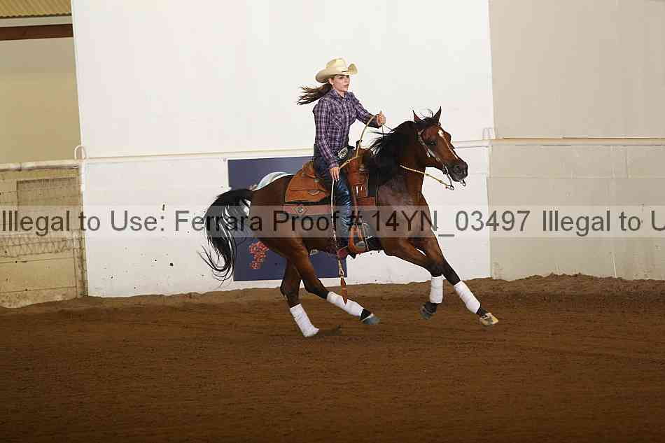 Proof 14yn_03497