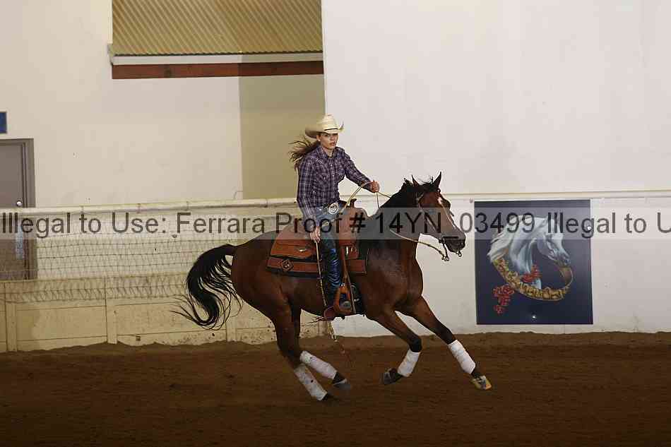 Proof 14yn_03499