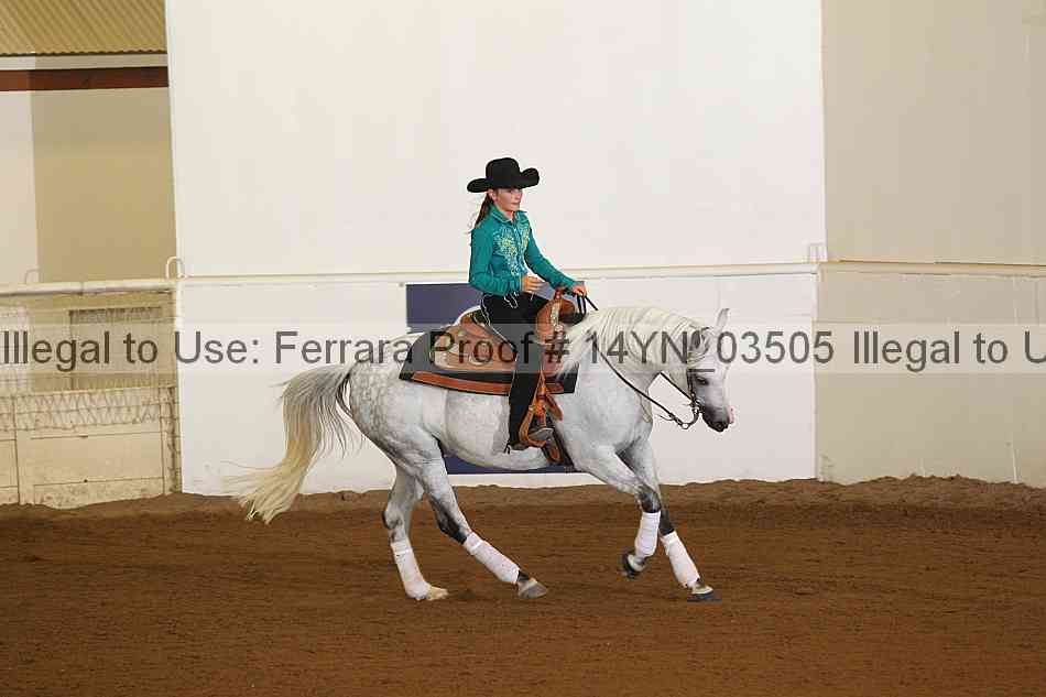 Proof 14yn_03505