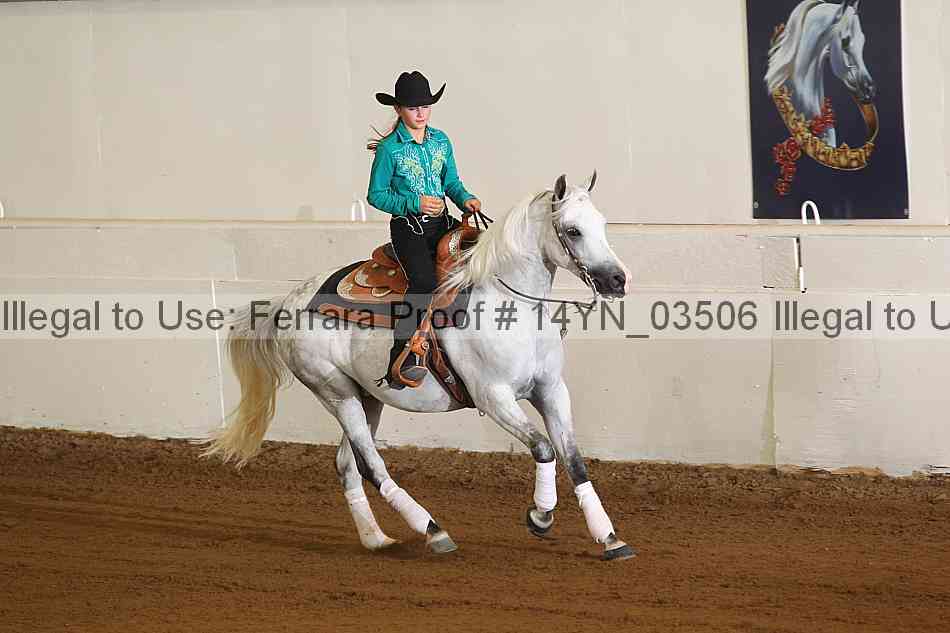 Proof 14yn_03506