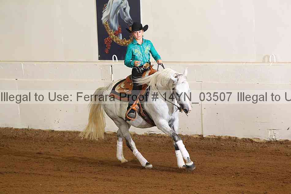 Proof 14yn_03507