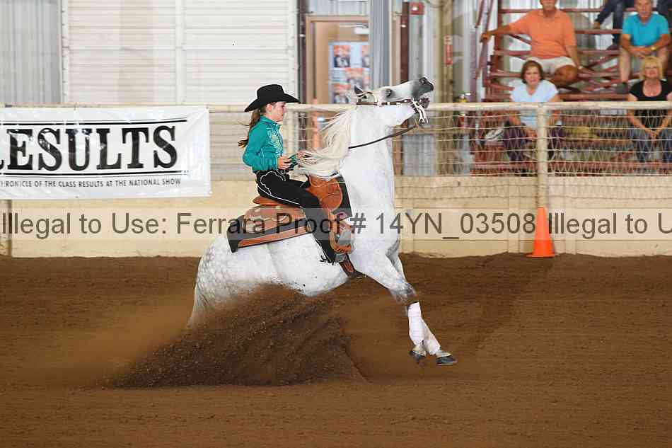 Proof 14yn_03508