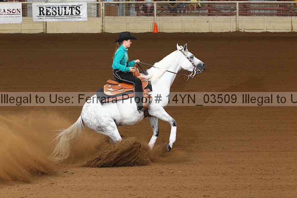 Proof 14yn_03509