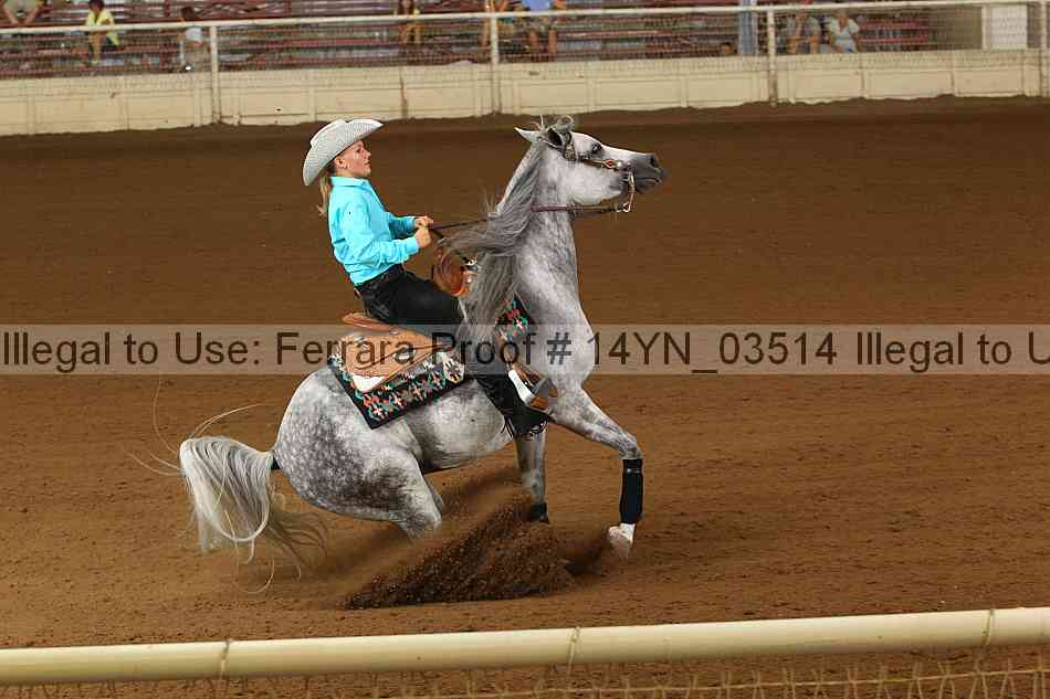 Proof 14yn_03514