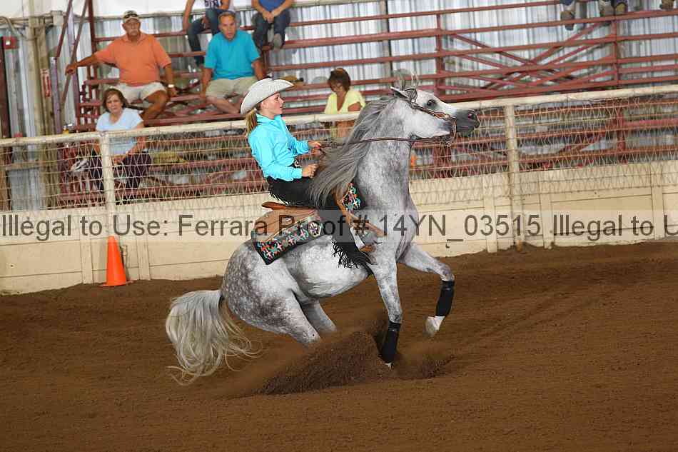 Proof 14yn_03515