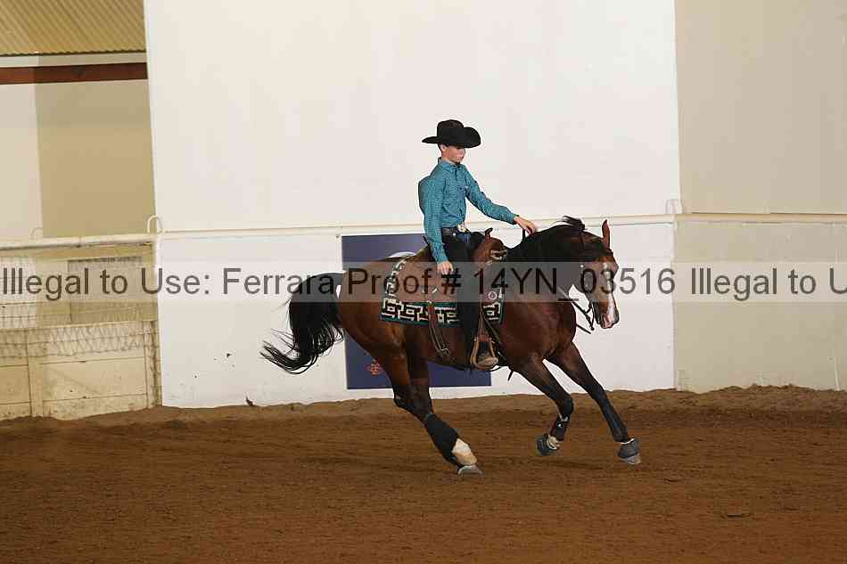 Proof 14yn_03516