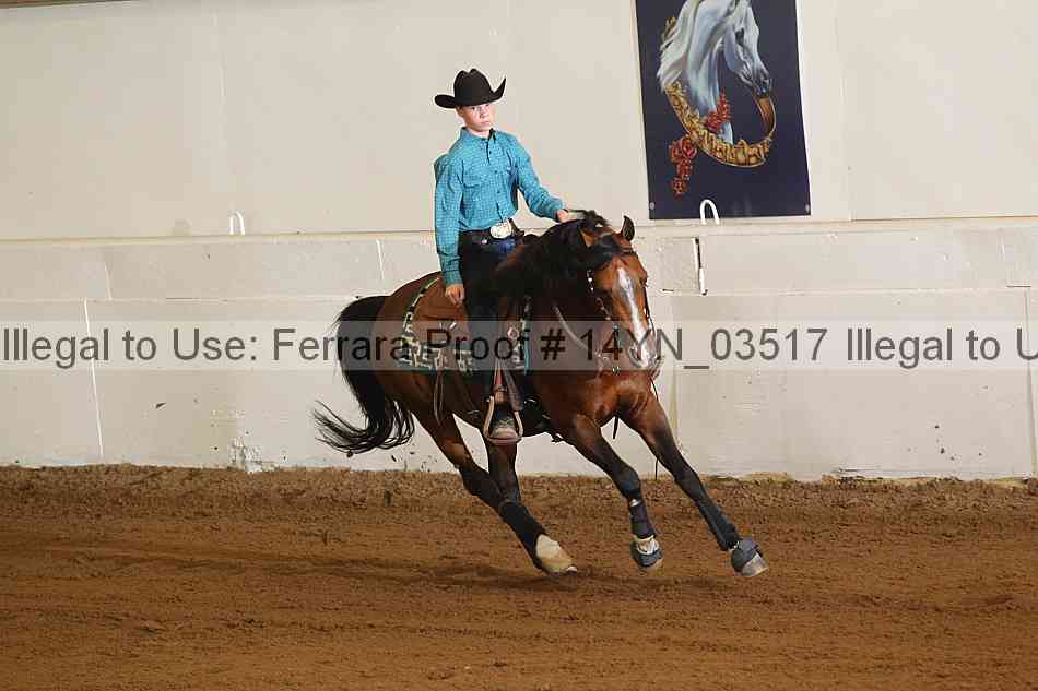Proof 14yn_03517